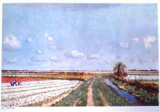 Article 19520099: Hollandse bloemenvelden & Terugkeer der Garnaalvissers (te Oostduinkerke). 2 postkaarten in kleur. (Mil Maeyens)