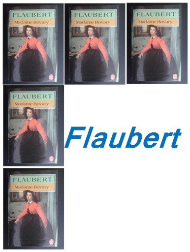 Book cover 201509181721: FLAUBERT Gustave | Madame Bovary. Moeurs de province (1856)