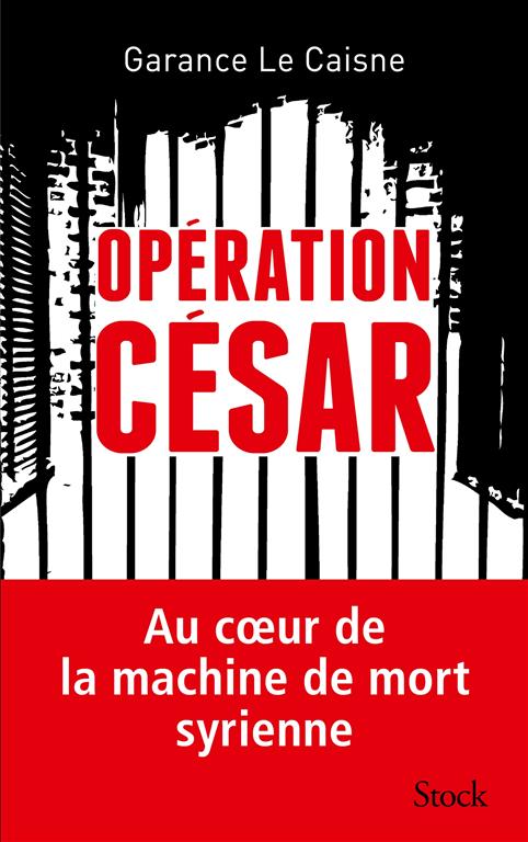 Article 201509302347: Opération César. Au coeur de la machine de mort syrienne.