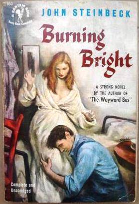 Book cover 42942: STEINBECK John | Burning Bright.