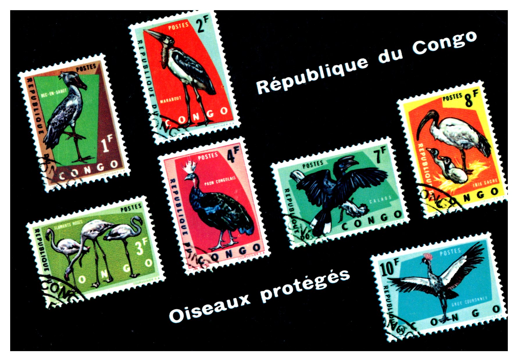 Congo filatelie: oiseaux/vogels